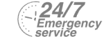 24/7 Emergency Service Pest Control in Canning Town, North Woolwich, E16. Call Now! 020 8166 9746