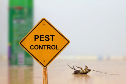 Pest Contol in Canning Town, North Woolwich, E16. Call Now 020 8166 9746